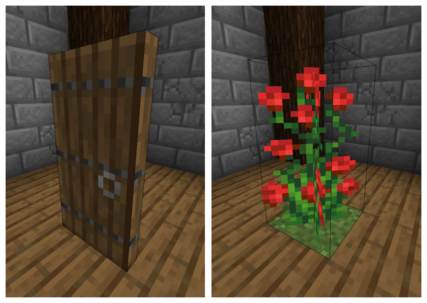 Door and Flower